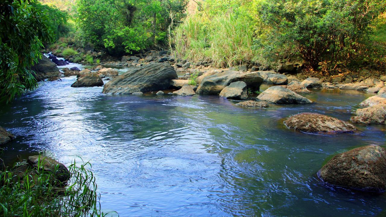 Fab Valley Homestay Муннар Екстер'єр фото